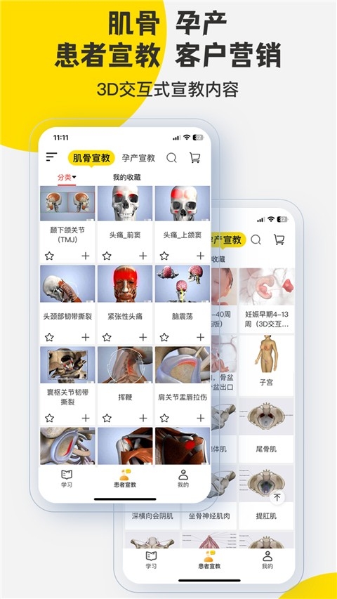3Dbody解剖官方版下载