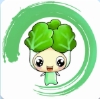 白菜追剧最新版下载