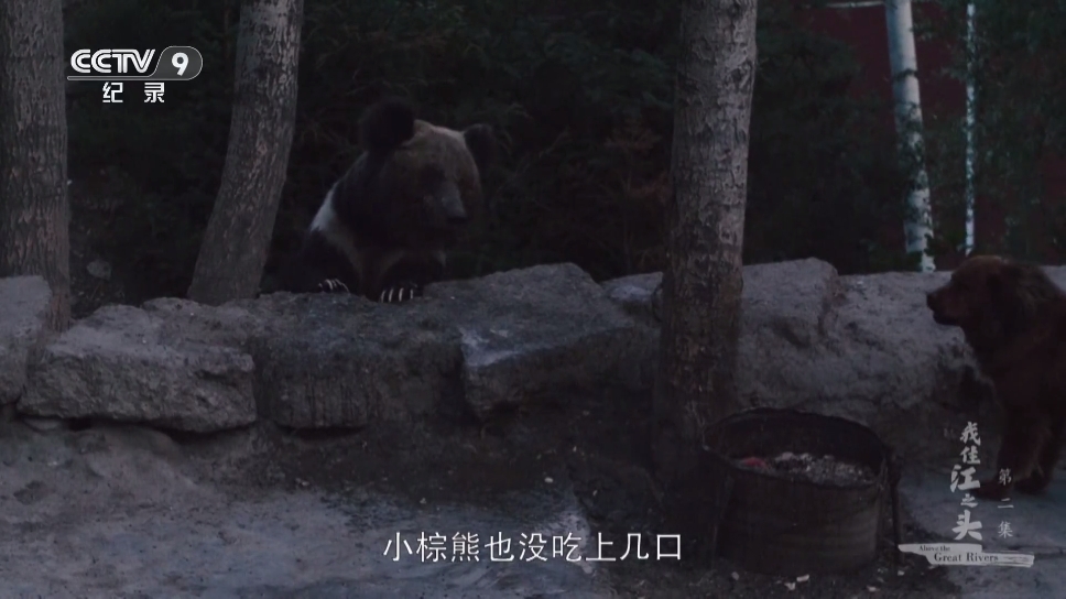 蓝光4K影视手机版下载
