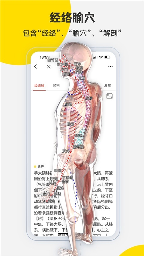 3Dbody解剖官方版下载