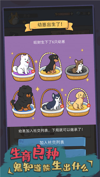 狗生模拟器正版