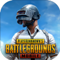 地铁逃生PUBG国际服移植版