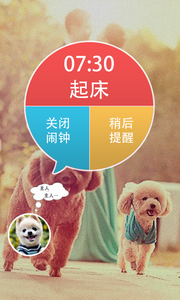 宠物闹钟