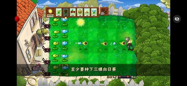 活死人之园