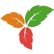 Trilium Notes安卓版下载