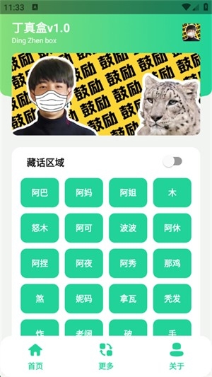 丁真盒官方最新版下载