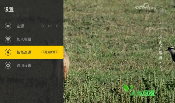 小马TV
