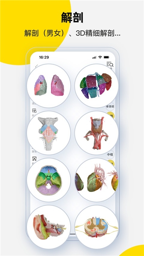 3Dbody解剖官方版下载