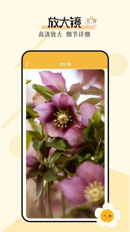 多功能小组件手机版下载