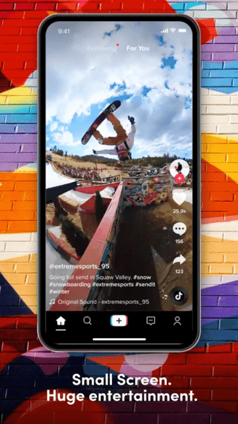 国际版抖音tik tok破解版(TikTok)