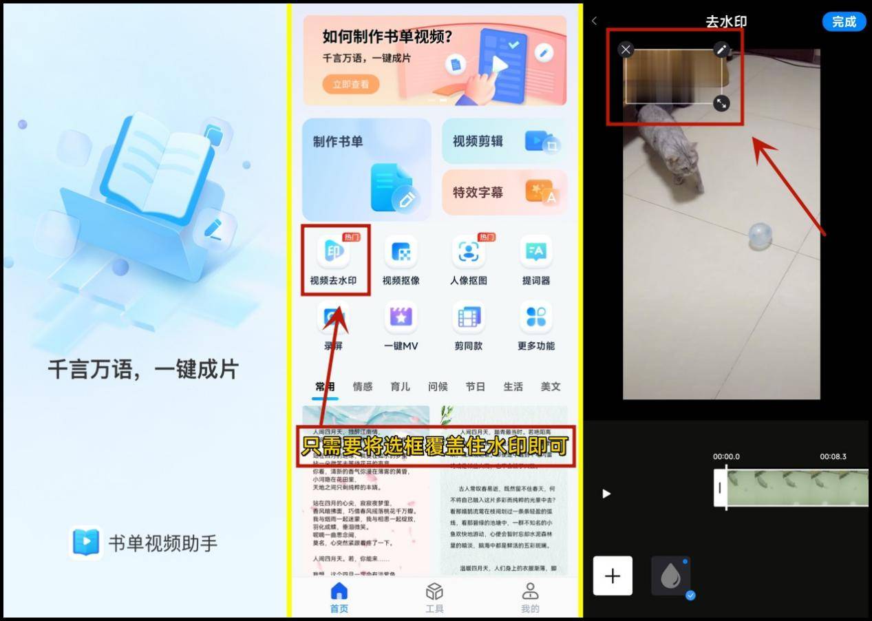 视频去水印