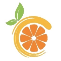 Citron模拟器官方正版下载