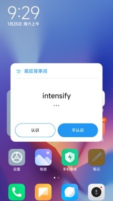 疯狂单词本正版安装下载