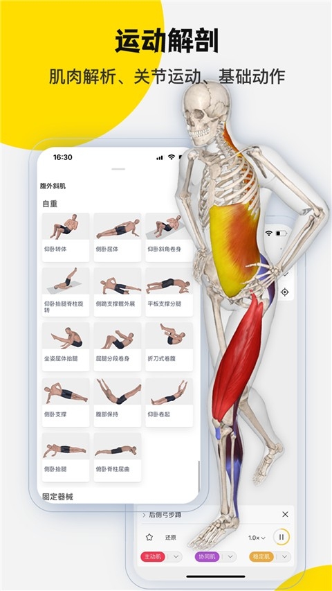 3Dbody解剖官方版下载