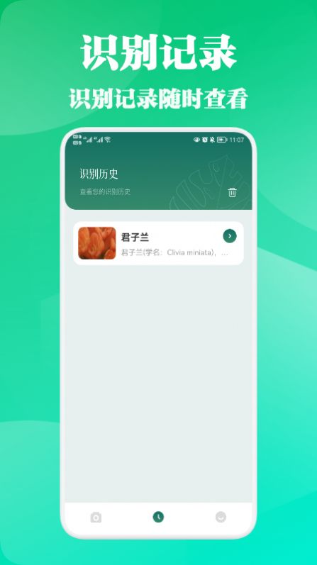 三叶草深坑