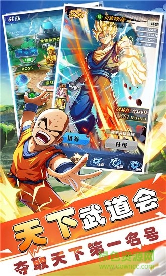 赛亚龙珠 赛亚龙珠