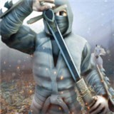 忍者刺客格斗官网版