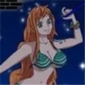 海贼王阳光冒险先行服