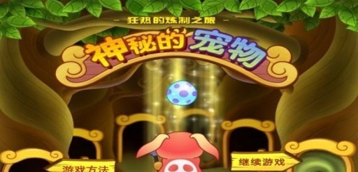 神秘的宠物