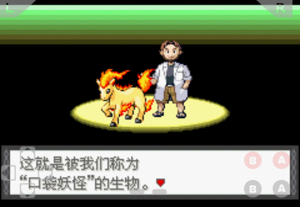 口袋妖怪:萌娘进化