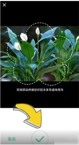 形色图片11