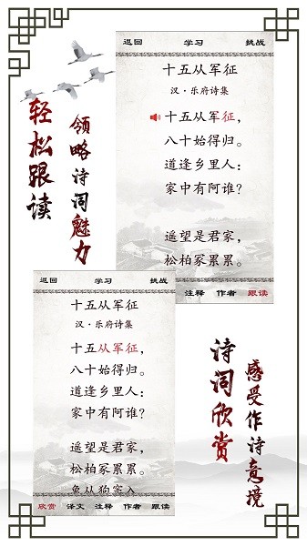 小学必背古诗2026最新版