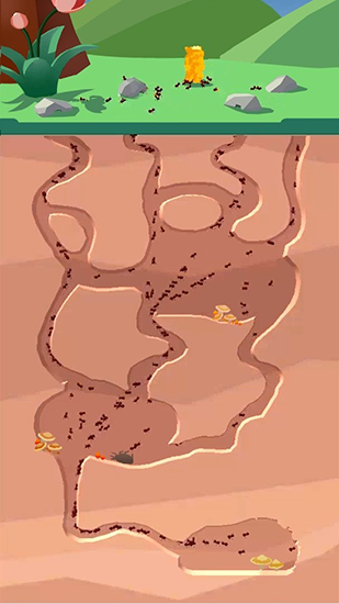 沙蚁养殖场(Sand Ant Farm)