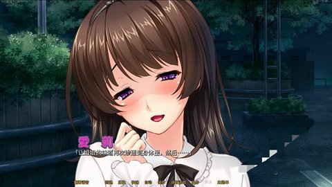 病娇姐姐测试版