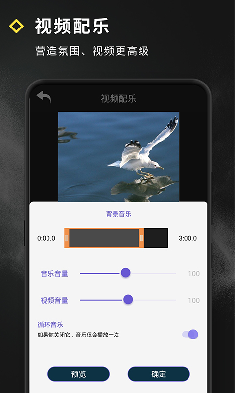 短视频特效官方正版