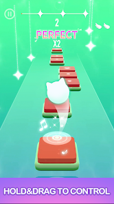 跳舞的猫dancingcats高画质版