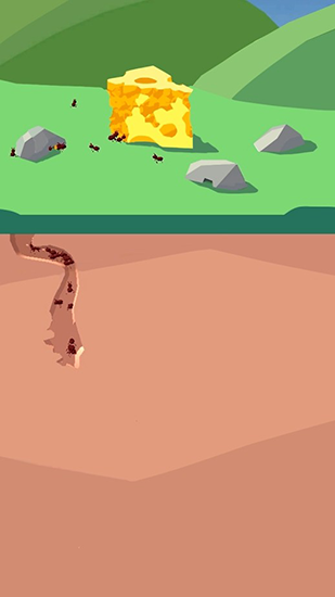 沙蚁养殖场(Sand Ant Farm)