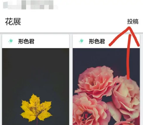 形色图片5