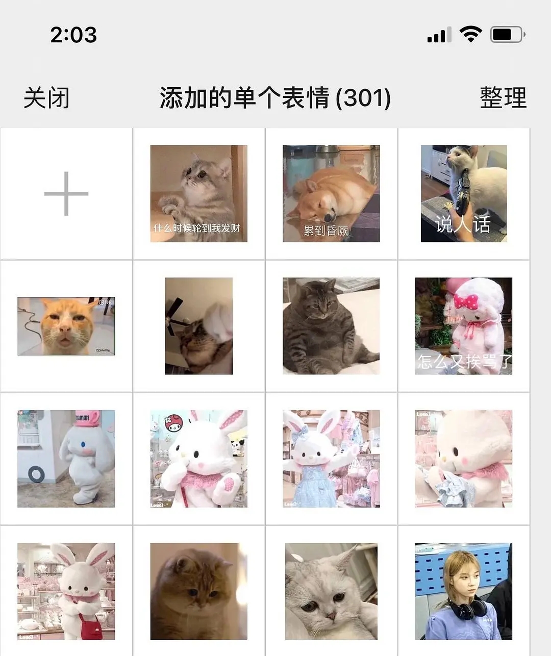 微信999表情包版