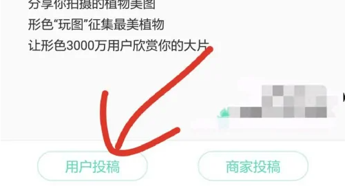 形色图片6