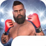 MMA格斗冲突(MMA Fighting Clash虫虫助手安装器)