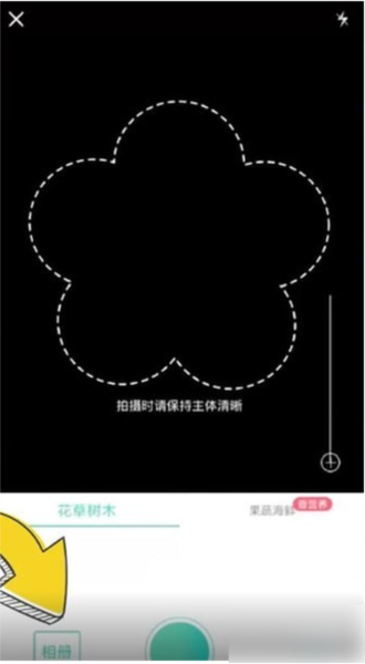 形色图片10