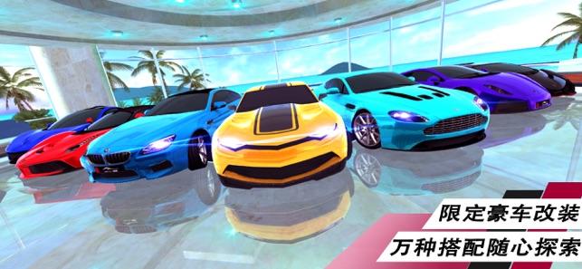 夺冠赛车手安卓版