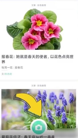 形色图片9