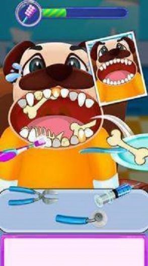 动物牙医手术(Animal Dentist)