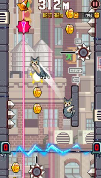 猫跳