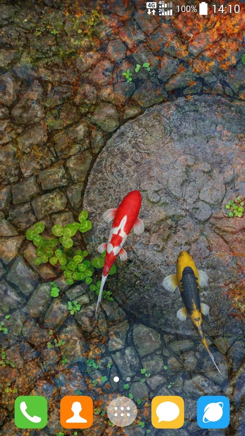 Water Garden Premium