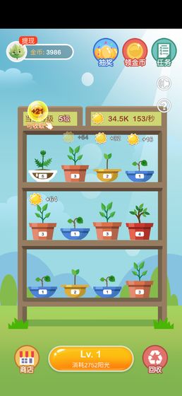 阳光金币屋正版