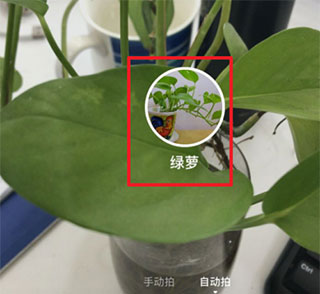 怎么识别图片3