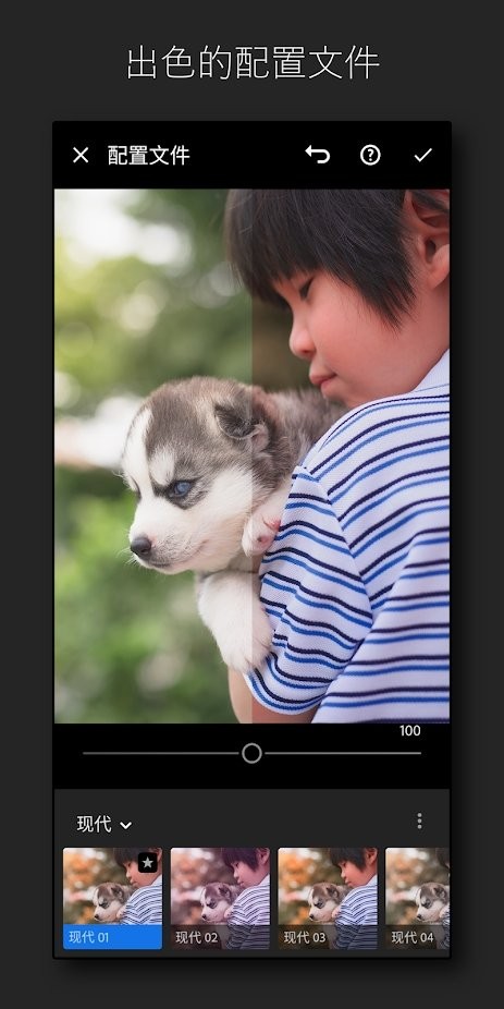 Lightroom高级版