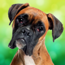 恶犬模拟器游戏