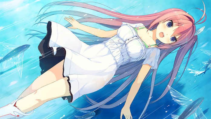 苍之彼方四重奏去更新版