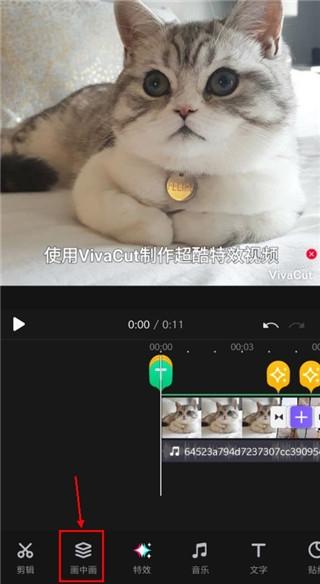 VivaCut软件截图3