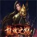 龙魂之怒