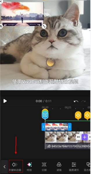 VivaCut软件截图4