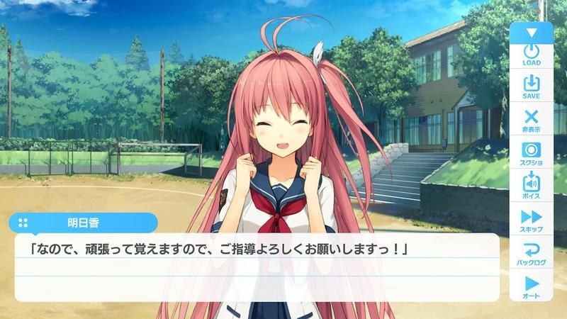 苍之彼方四重奏去更新版